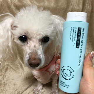 김슬기님이 올린 리뷰 사진 1