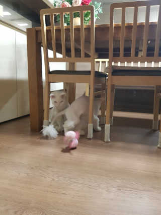 딸기조아님이 올린 리뷰 사진 4