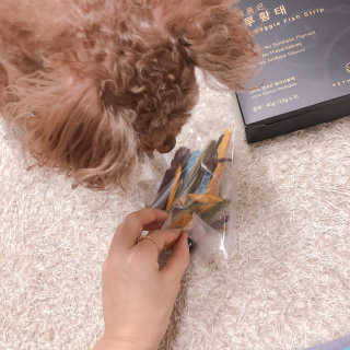 펫테라피 플레이트 야채품은 하루황태 — 5점을 준 리뷰어가 2019년 12월 올린 사용 사진