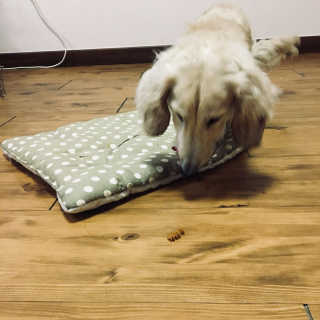 꽈당이님이 올린 리뷰 사진 2