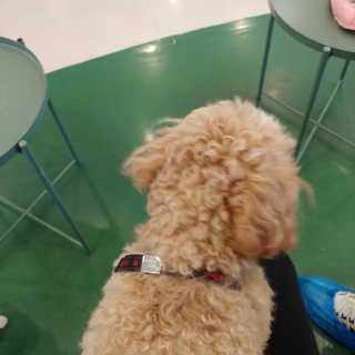 밍님이 올린 리뷰 사진 3