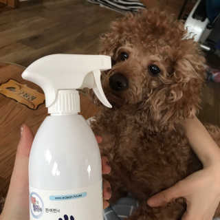 꾸질이님이 올린 리뷰 사진 1