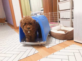 향이꾸님이 올린 리뷰 사진 1