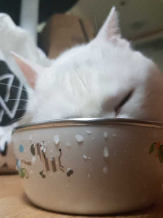 루팡네님이 올린 리뷰 사진 4