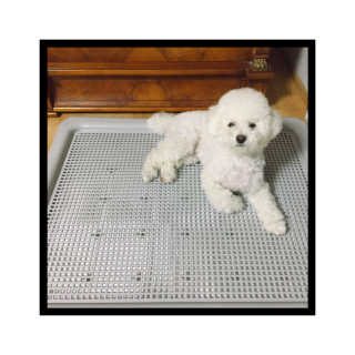 HyeokYoon님이 올린 리뷰 사진 1