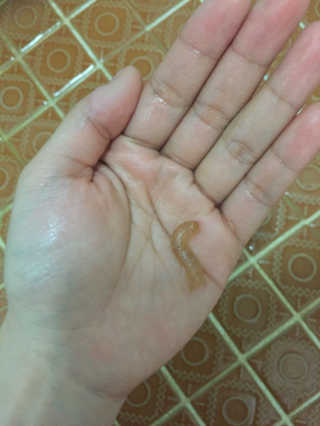SeonyeongYoo님이 올린 리뷰 사진 2