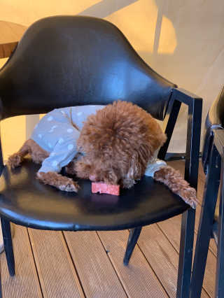 프롬님이 올린 리뷰 사진 1