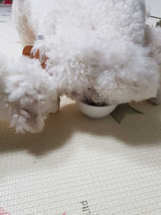나님a님이 올린 리뷰 사진 2