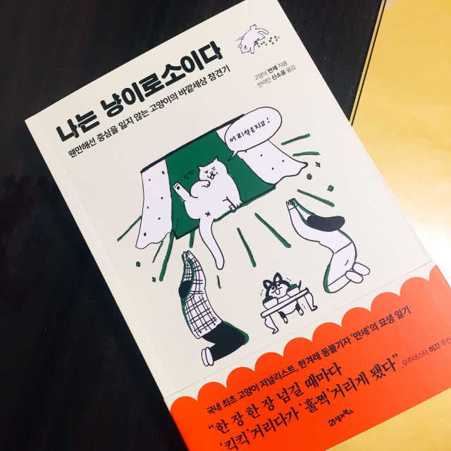 나는 냥이로소이다 리뷰 사진