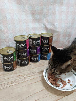 [펫토리아] 한캔뚝딱 강아지 주식캔 12종 콤보 — 3.5점을 준 리뷰어가 2019년 8월 올린 사용 사진