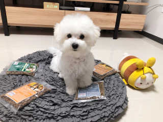 스페이스정님이 올린 리뷰 사진 1