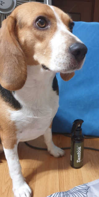 beaglelove님이 올린 리뷰 사진 2