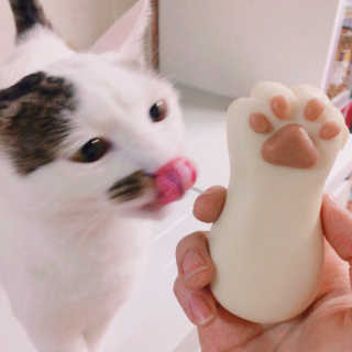 김영은님이 올린 리뷰 사진 2