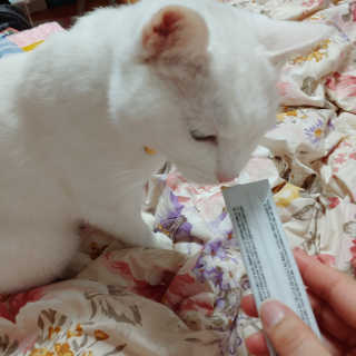 규빈띵쏘님이 올린 리뷰 사진 4