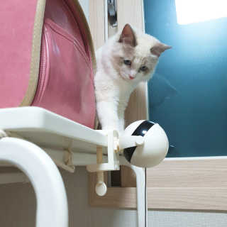 subi秀妃님이 올린 리뷰 사진 2
