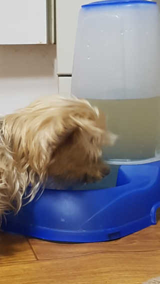 사막여우샛별님이 올린 리뷰 사진 3