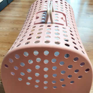쏭야님이 올린 리뷰 사진 3