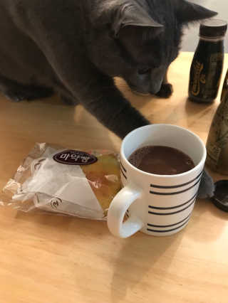 고니고니걸걸님이 올린 리뷰 사진 2