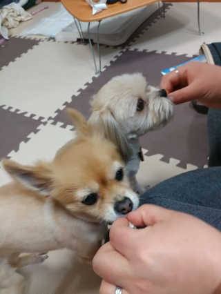 시유예린님이 올린 리뷰 사진 4