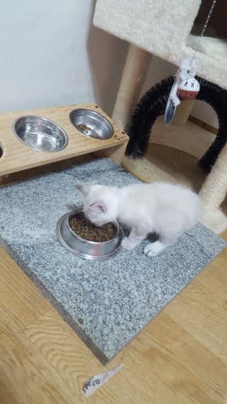 감ㅈㅏ님이 올린 리뷰 사진 1