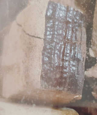 쎄오님이 올린 리뷰 사진 3