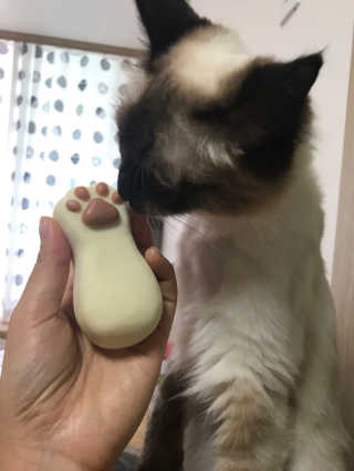 고니고니걸걸님이 올린 리뷰 사진 1