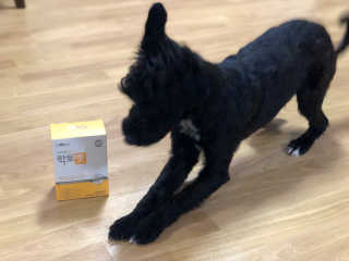 유짱님이 올린 리뷰 사진 3