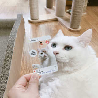 토모님이 올린 리뷰 사진 2