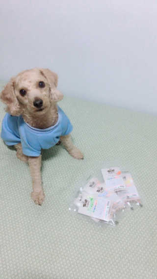 조승연님이 올린 리뷰 사진 1