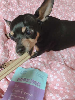 jaehwa님이 올린 리뷰 사진 3
