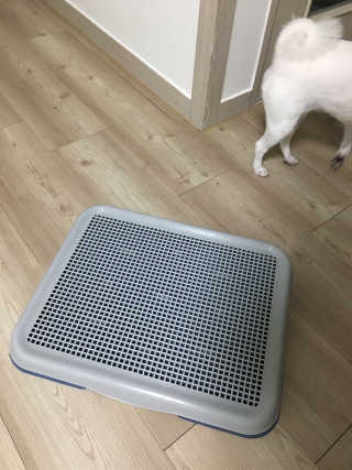 림짱님이 올린 리뷰 사진 3