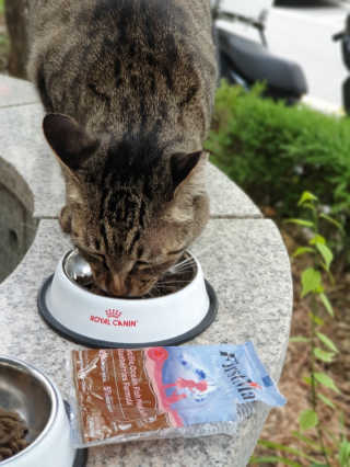 겸둥이연우맘님이 올린 리뷰 사진 2