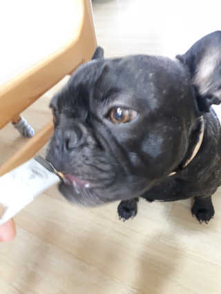 토르맘님이 올린 리뷰 사진 4