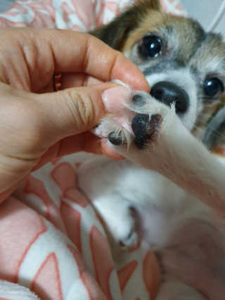 김미진님이 올린 리뷰 사진 4
