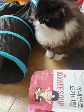 릴리님이 올린 리뷰 사진 1