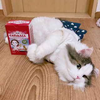 눌222님이 올린 리뷰 사진 1
