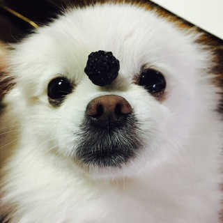 noname님이 올린 리뷰 사진 3