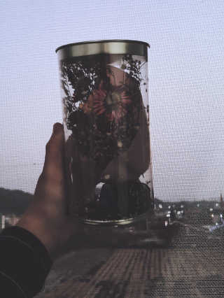 이세영님이 올린 리뷰 사진 2