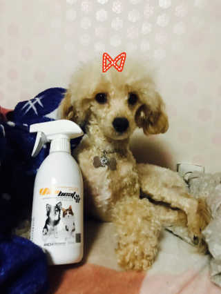 최혜연님이 올린 리뷰 사진 1