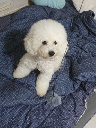 heeee님이 올린 리뷰 사진 1