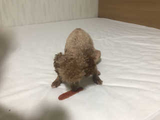 박지연님이 올린 리뷰 사진 3