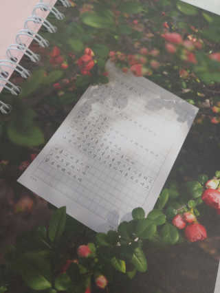 이주현님이 올린 리뷰 사진 2