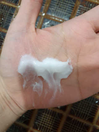 꽃순이님이 올린 리뷰 사진 4