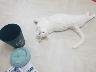달콤님이 올린 리뷰 사진 1