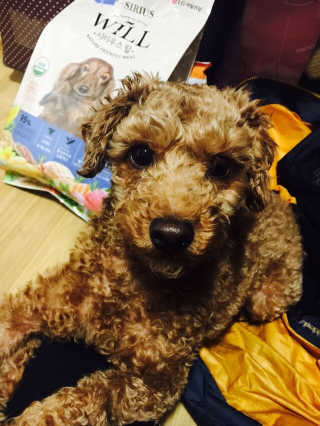 김다현님이 올린 리뷰 사진 3