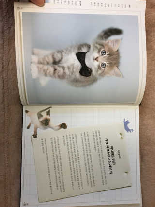 류명선님이 올린 리뷰 사진 3