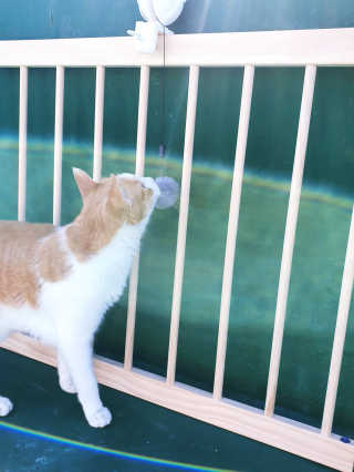 최정임님이 올린 리뷰 사진 1