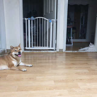 봄봄님이 올린 리뷰 사진 1