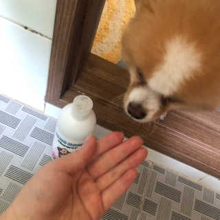 라뷰뿅님이 올린 리뷰 사진 3