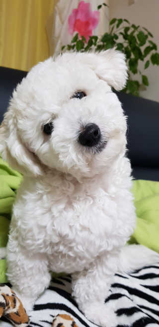 김나영님이 올린 리뷰 사진 2
